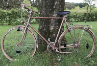 Ein Fahrrad lehnt an einem Baum.