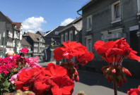 rote Blumen, blauer Himmel mit ein paar weißen Wolken, Schieferhäuser in der Unteren Straße